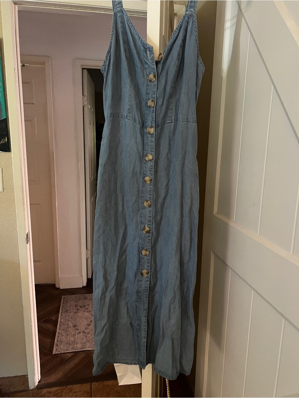 Zara Light Blue Button-Front Denim Maxi Dress